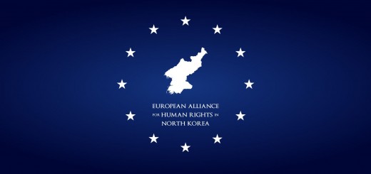 European-Alliance-For-Human-Rights-in-North-Korea-2014Web-Banner